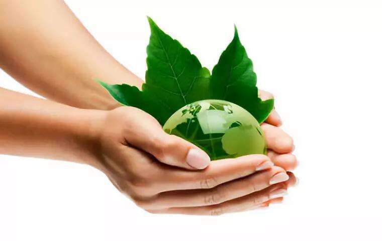 生態(tài)環(huán)境保護(hù) 生態(tài)環(huán)境保護(hù)